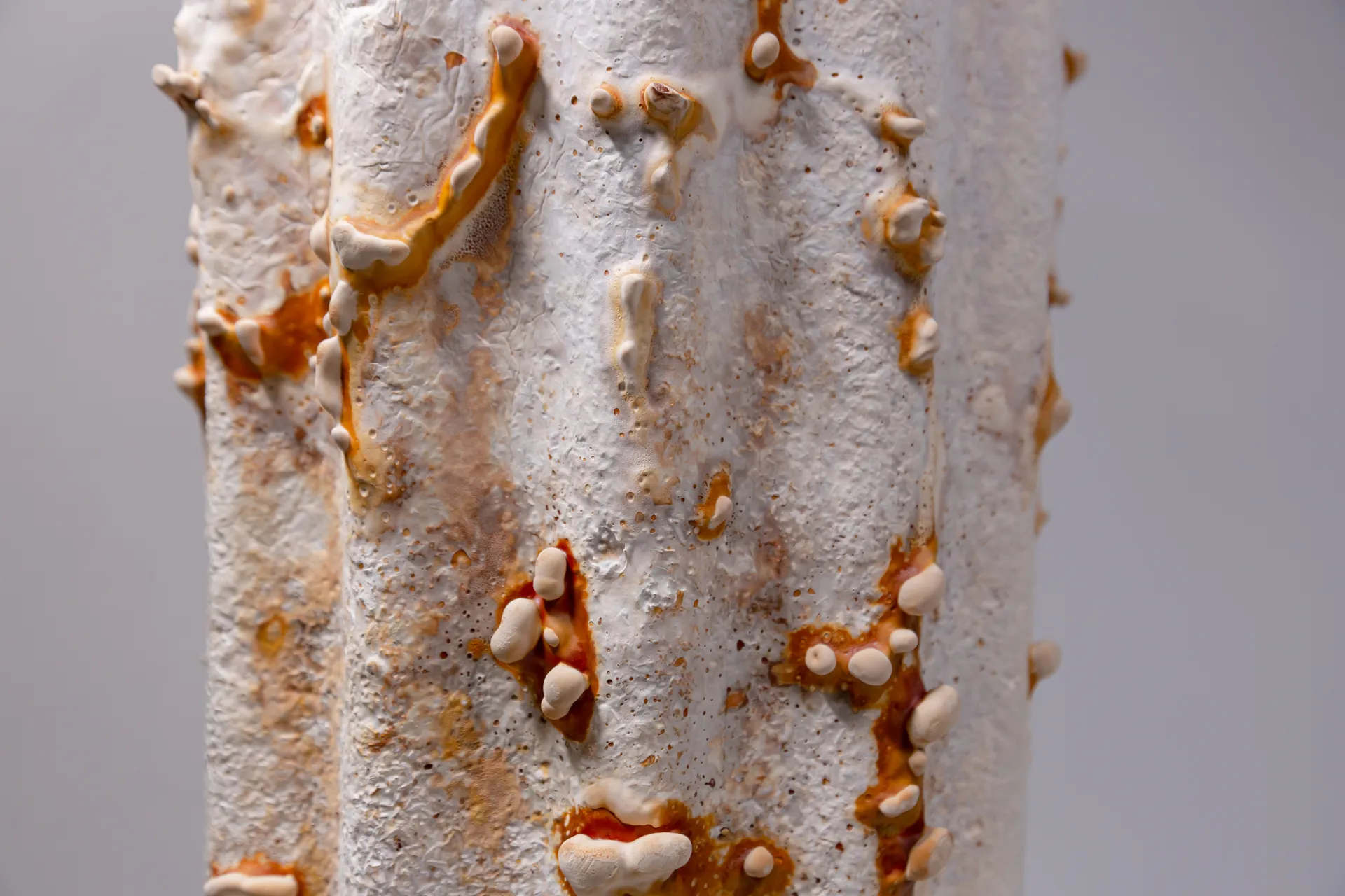 Close-up of mycelium growing across a pale cylindrical material sample