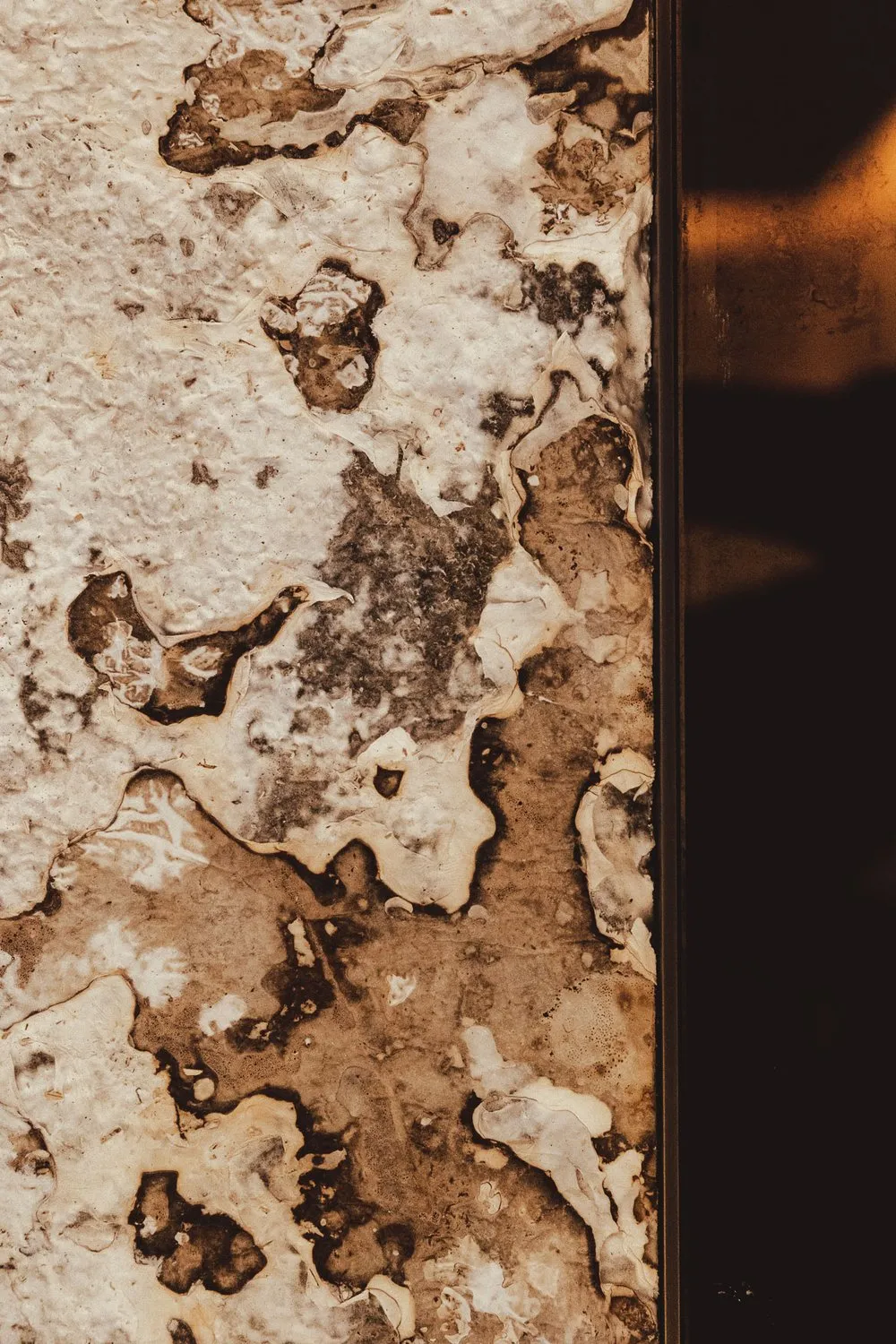 Close view of a pale mycelium wall panel inside The Ledbury in London